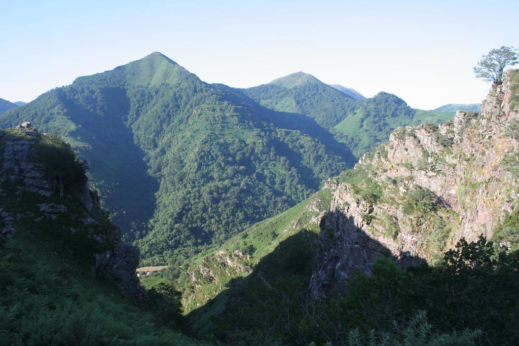 帕斯卡利娜住宿加早餐旅馆 Ispoure 外观 照片